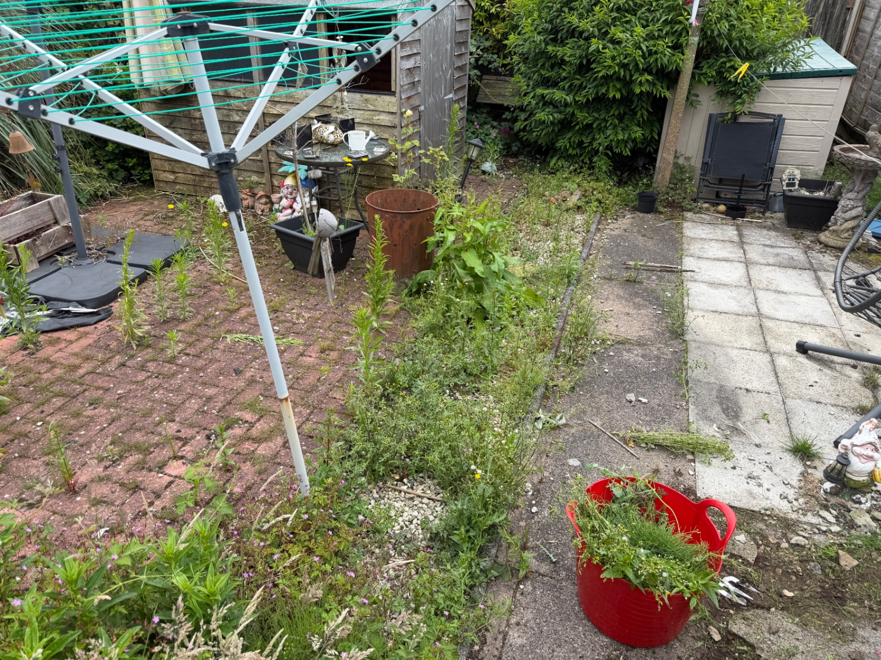 Patio and path with weeds before clear-up