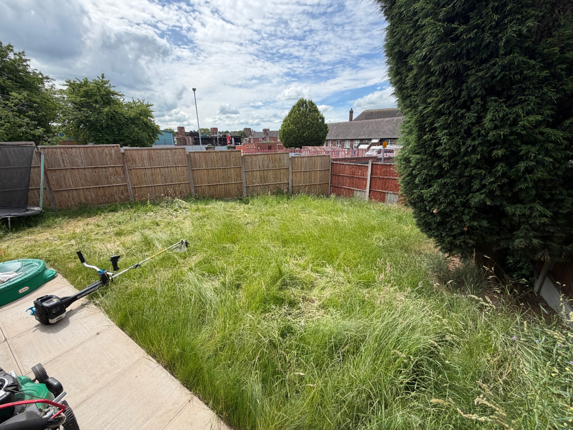 Overgrown back garden before grass cutting and tidy up